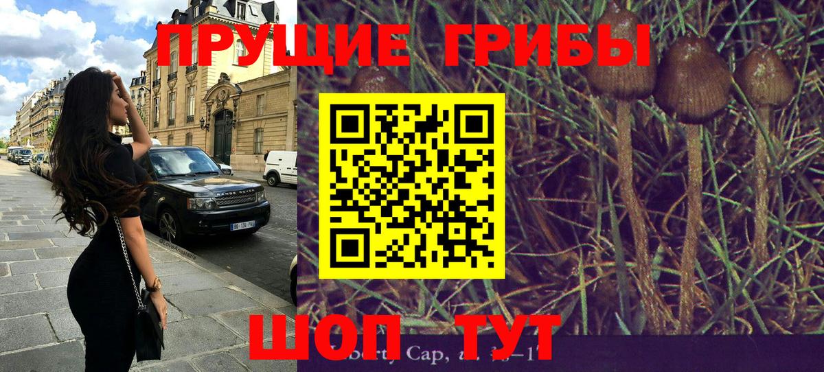 Псилоцибиновые грибы ЛСД Губаха